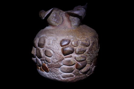Pomegranate — a round coil-built pot with a pebbled, seed-like surface, anagama-fired, on black.